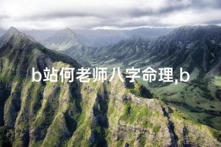 八字老师