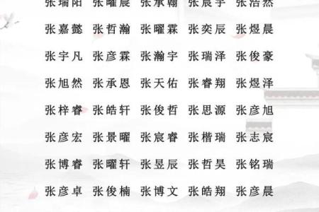诸姓男孩名字大全-诸姓男孩起名字大全-诸姓名字大全姓名
