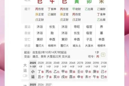 以残生生肖为中心，了解八字排盘的秘密