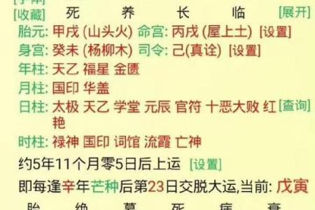 八字格局杂气偏财格身强