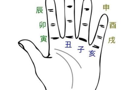 甲辰八字
