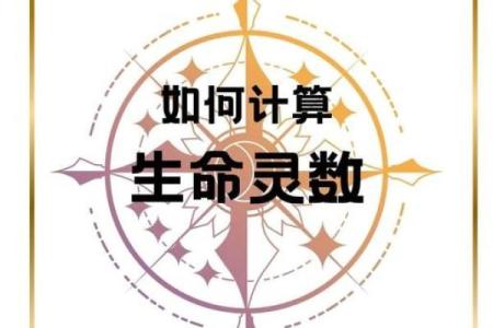 生命灵数测试我适合哪个城市