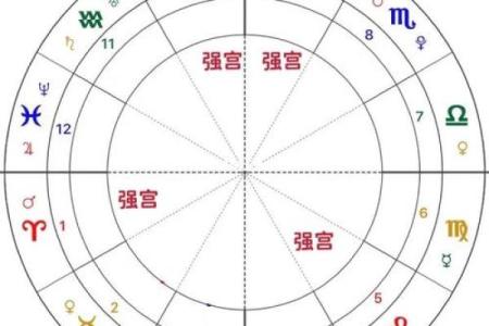 流年紫微斗数 流年紫微斗数星盘如何解析？