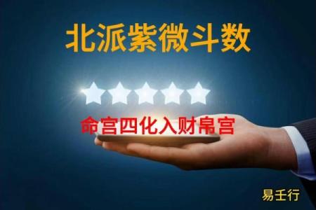 紫薇斗数博士入财帛
