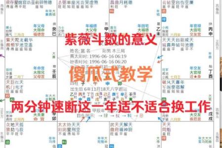 紫薇大战紫微斗数