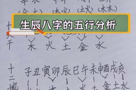 免费测五行查询,查五行免费测试五行