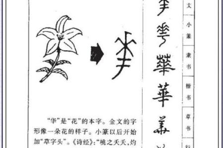姓曾的名人-姓名学-华易算命网姓名