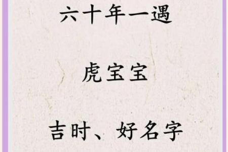 下午出生的属虎男孩应该起什么名，宜用什么字姓名