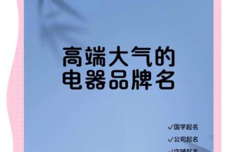 电器安装公司名字大全-名字大全姓名