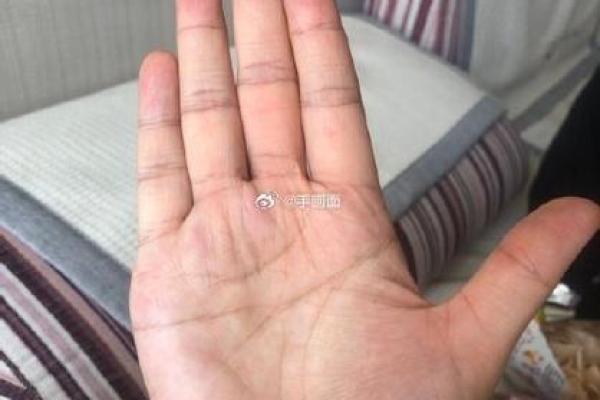 手相假断掌算命图解
