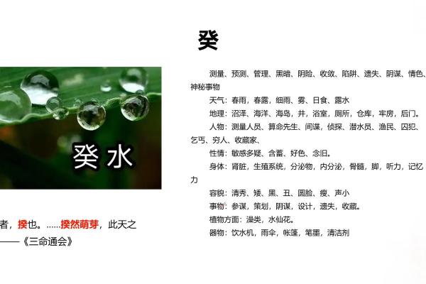 上等癸水八字,癸水容易死在什么大运