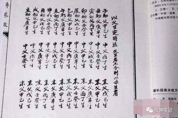 我的之一本紫薇斗数书