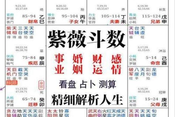 算命关心的问题