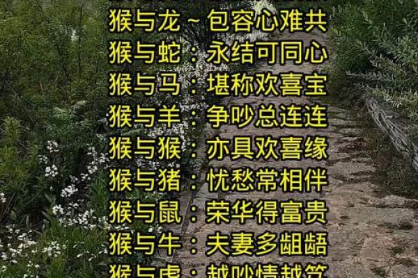生肖配对姻缘上吉 生肖配对姻缘测试打分？