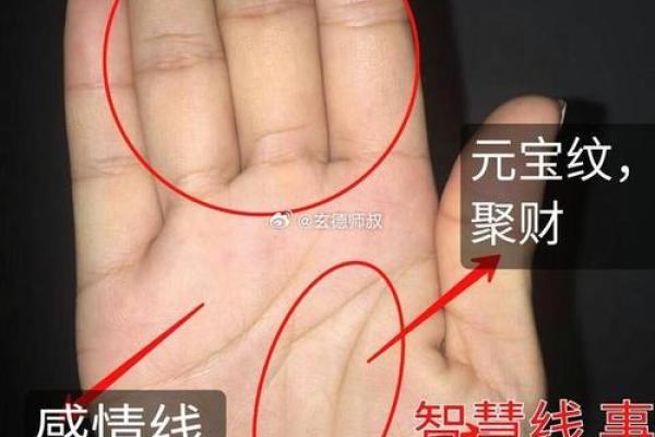算命手相,免费看手相算命