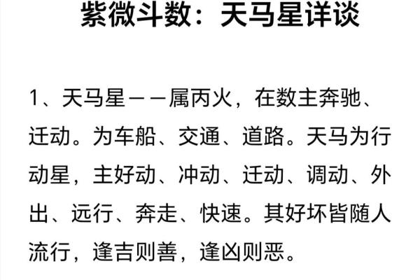 加紫薇斗数术语