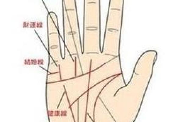 免费拍照看手相算命在线