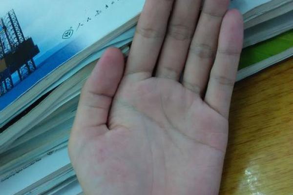 免费拍照看手相算命在线