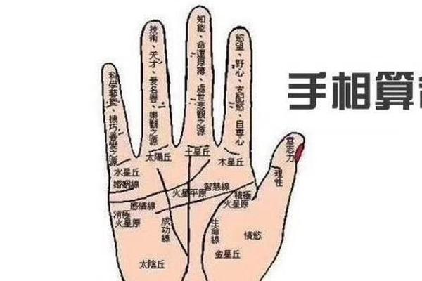 凯帝阿手相算命图解大全07