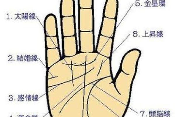 免费扫一扫看手相算命,扫一扫看手相算命