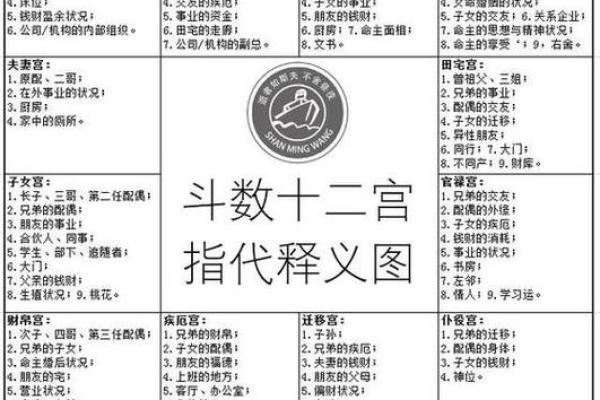 紫薇斗数各有看法