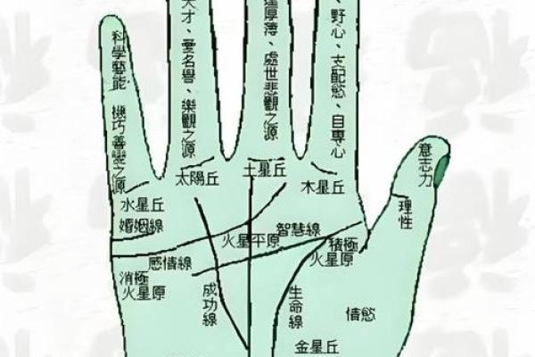 手相算命的基本原则 手相算命的基本原则