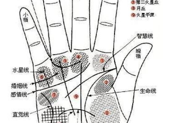 手纹线图解大全男人手相 男人算命看左手还是右手