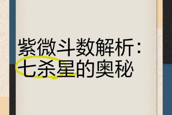 紫薇星七杀星入官禄宫