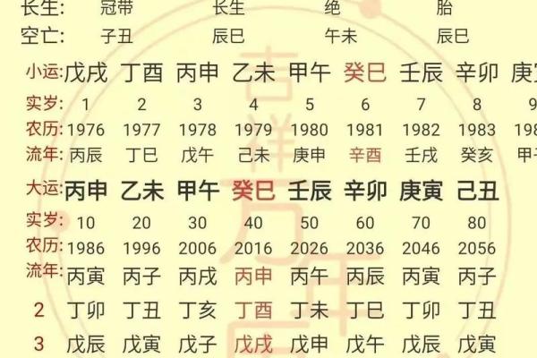 八字很懒
