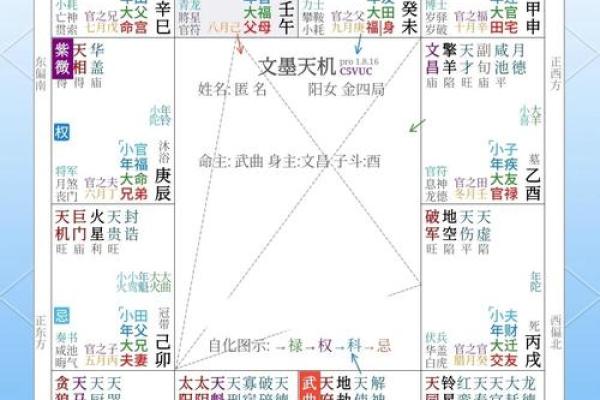 紫薇斗数文昌科