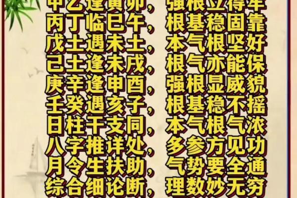 八字初学者