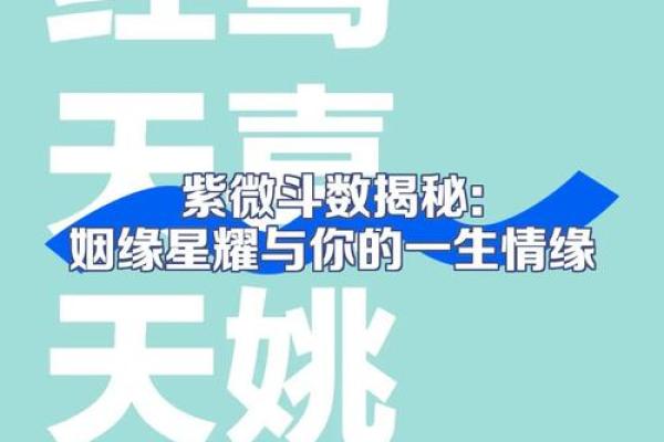 紫薇查看姻缘