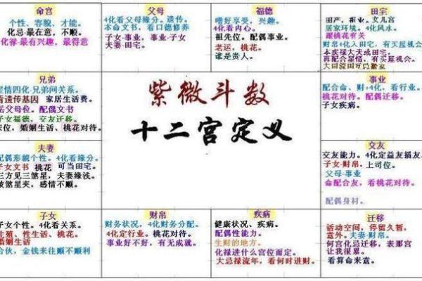 紫薇斗数导语