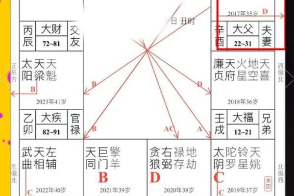 紫薇斗数羊驼夹