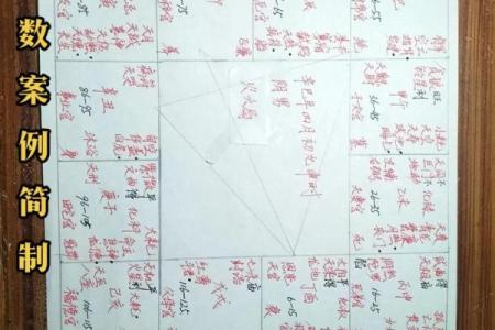 紫薇斗数实例解说