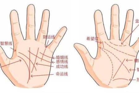 免费算命一生有几个孩子,子女线要怎么看