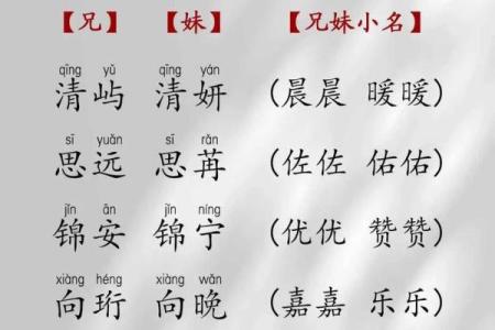 好听的有喻意吉祥和文静的双胞胎女孩名字-姓名学-华易网姓名