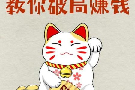 八字身旺如何发财 #商业思维