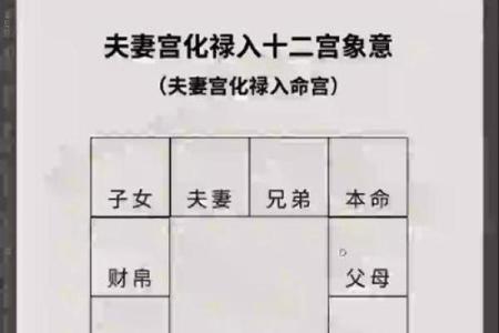 紫薇斗数配偶家世
