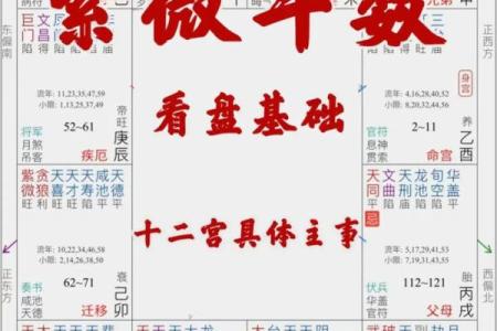 紫薇斗数变动的意思