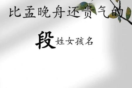 姓段的名人-姓名学-华易算命网姓名