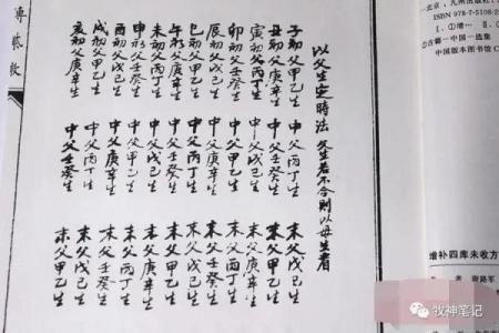 我的之一本紫薇斗数书