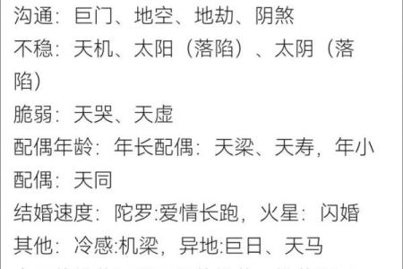 紫薇斗数夫妻宫代表