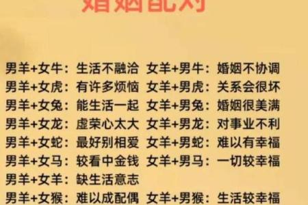 情侣八字配对