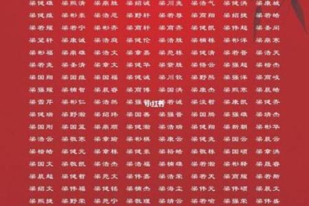 2019年6月13号子时出生的男孩起名方法姓名