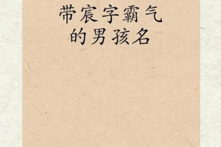 2019年3月29号未时出生的男孩起名时要注意什么姓名