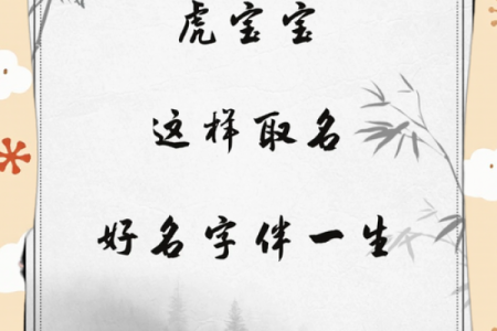 晚上9点出生的属虎男孩如何起名，宜用什么字姓名