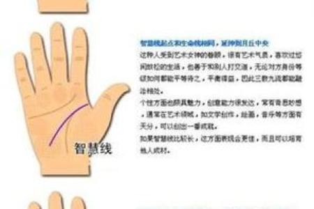 算命手相,免费看手相算命
