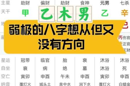 八字极弱能补吗