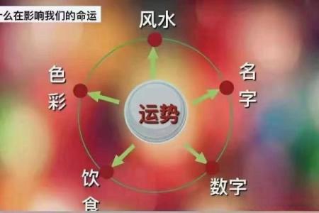八字格局高的人命运